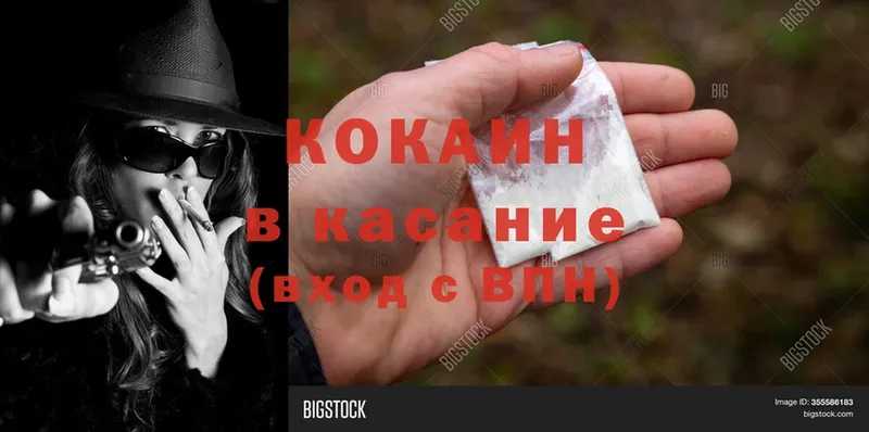 хочу   Балашов  Кокаин Эквадор 